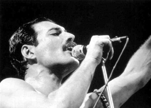 Freddie